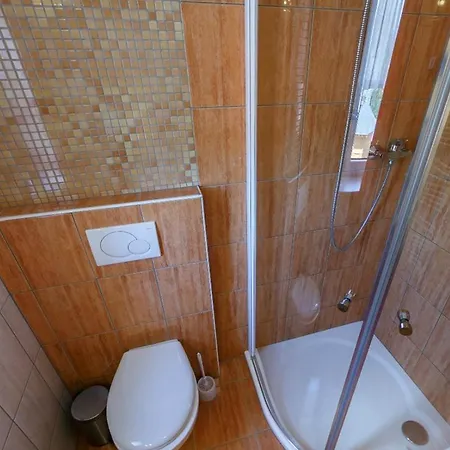 Отель Hotel Hukvaldy Hukvaldy